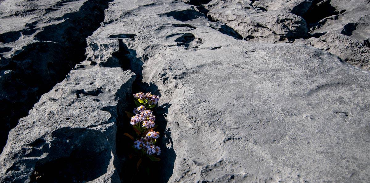 The Burren on the Wild Atlantic Way